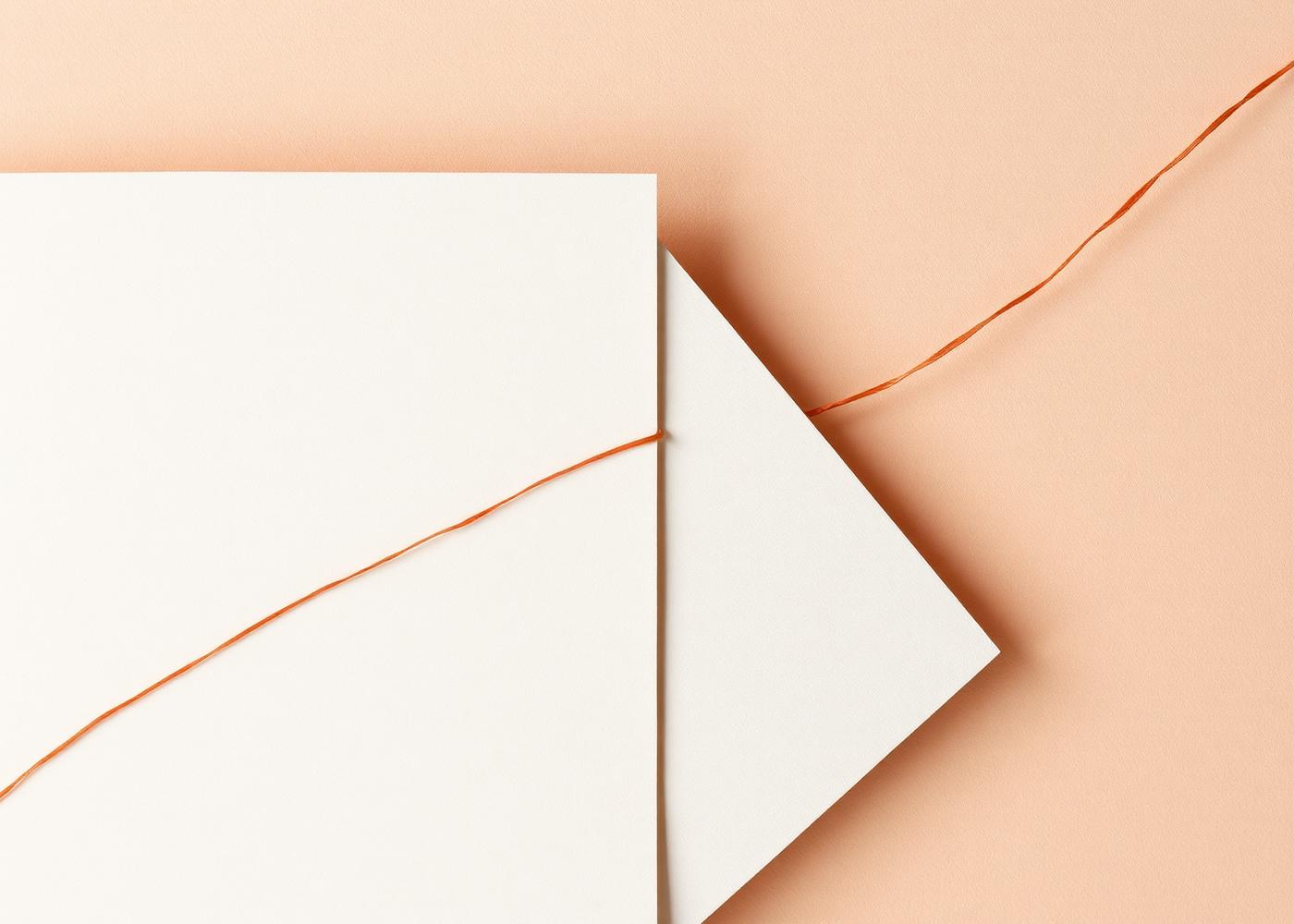 Abstract ivory paper planes connected by a single coral line